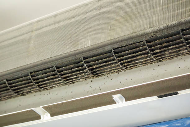 Best Affordable HVAC Duct Cleaning  in Williston, ND