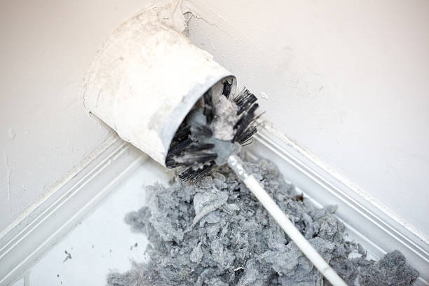 Best Air Vent Cleaning Services  in Williston, ND