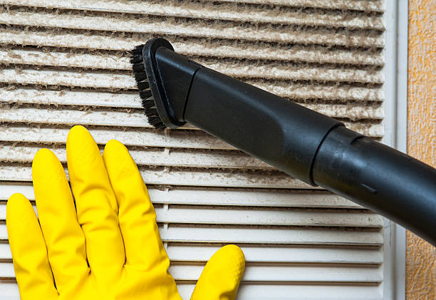 Best Affordable Duct Cleaning Services  in Williston, ND