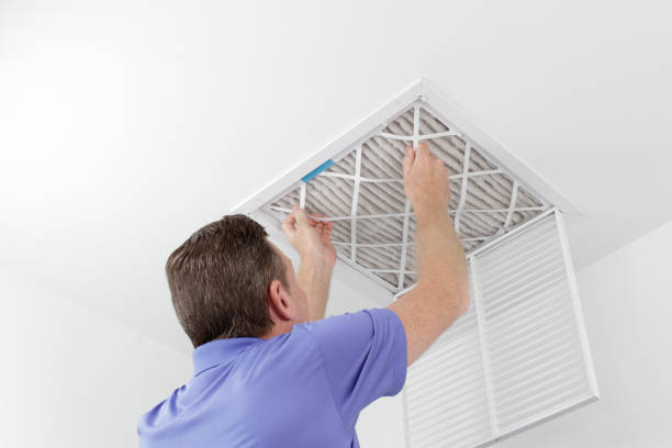 Best HVAC Air Duct Cleaning  in Williston, ND